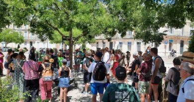 « 46 millions d’œufs par an, on n’est pas sur une agriculture locale » : un projet d’élevage de 150 000 poules contesté