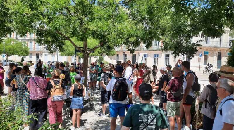 « 46 millions d’œufs par an, on n’est pas sur une agriculture locale » : un projet d’élevage de 150 000 poules contesté