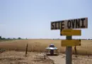 A Valensole, soixante ans d’ovni présence en Provence