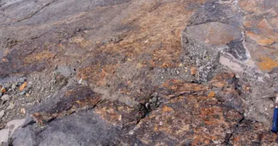 Découverte de la trace d’un tsunami survenu il y a 115 millions d’années dans de l’ambre