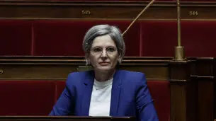Désinfox. Les pesticides causent-ils une flambée des cancers du pancréas, comme l’affirme Sandrine Rousseau ?