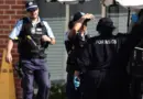«Il est crucial que nous localisions la tête» : la police australienne lance un appel à l’aide après la découverte d’un corps démembré