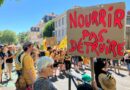 « Ils veulent continuer à nous empoisonner » : plusieurs centaines de manifestants au Puy-en-Velay pour dénoncer la loi Duplomb