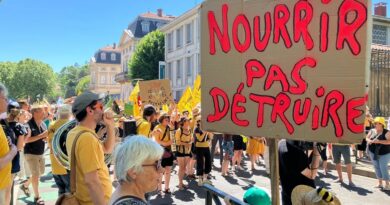 « Ils veulent continuer à nous empoisonner » : plusieurs centaines de manifestants au Puy-en-Velay pour dénoncer la loi Duplomb
