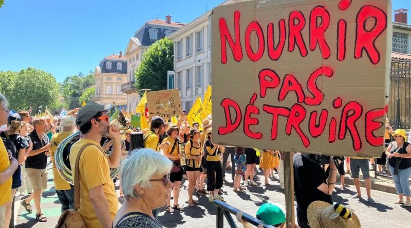 « Ils veulent continuer à nous empoisonner » : plusieurs centaines de manifestants au Puy-en-Velay pour dénoncer la loi Duplomb