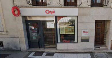Incendie devant une agence Orpi, Rima Hassan prise à partie, on vous explique la polémique en quatre actes