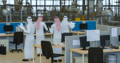 International Program Analyst