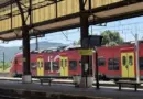 « J’espère que l’arrivée du train va redynamiser la ville » : en Haute-Garonne, la ligne TER Montréjeau-Luchon reprend du service