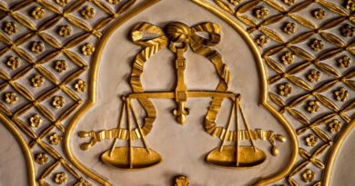 Mulhouse : un homme condamné à un an de prison ferme pour avoir mutilé son chien
