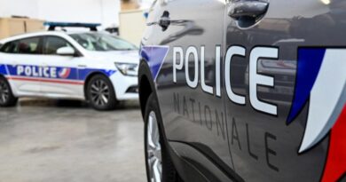 Pédocriminalité en ligne : vaste coup de filet en France et en Colombie lors d’une opération coordonnée