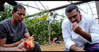 ProNatura et Glenn Viel A la rencontre de Yacouta, maraichère en Provence