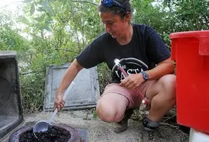 Quand une vigneronne héraultaise fait renaître la saveur des agapes romaines
