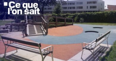 Suspect, élève français tué… Ce que l’on sait de la fusillade qui a fait au moins onze morts dans un lycée en Autriche