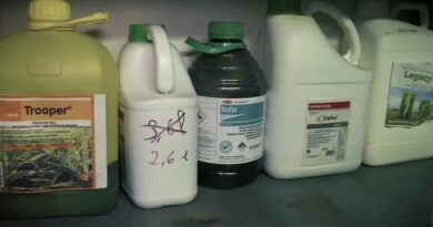 Témoignage. Mobilisation contre la loi Duplomb : agriculteurs, ils sont tombés malades à cause des pesticides