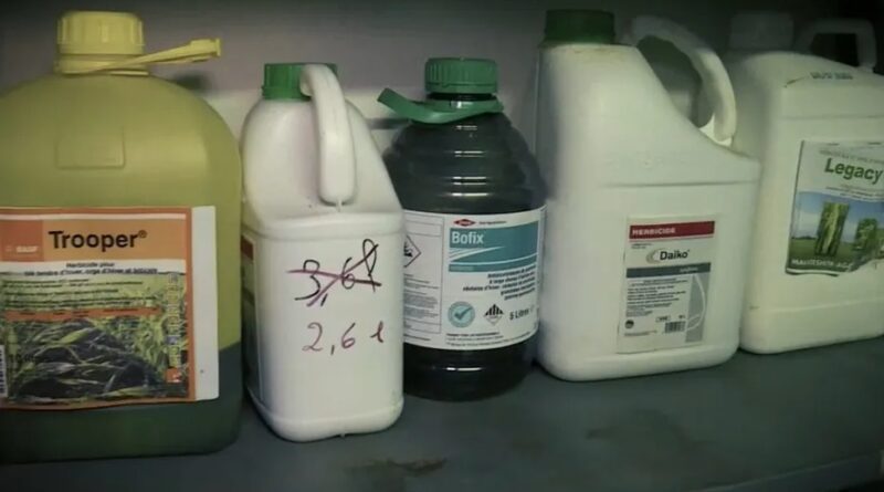 Témoignage. Mobilisation contre la loi Duplomb : agriculteurs, ils sont tombés malades à cause des pesticides