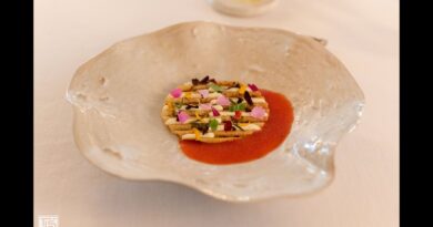 Three Michelin Star Vegetarian Tasting Menu at Oustau de Baumanière by Chef Glenn Viel in France