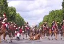 14-Juillet : la terrible chute d’un cheval lors du défilé de la Garde républicaine (vidéo)
