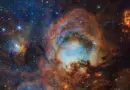 La Nasa fête les 3 ans du télescope James-Webb avec une somptueuse image de la nébuleuse de la Patte de Chat