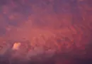 Journal Météo climat en replay