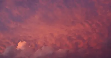 Journal Météo climat en replay