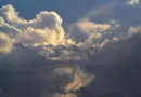 Journal Météo climat en replay – Journal Météo Climat
