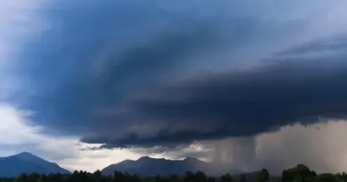Journal Météo climat en replay