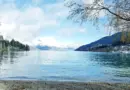 Pyrénées-Atlantiques : Actualités et info en direct : faits divers, météo, sorties, sport