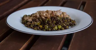  » C’est une vague subversive qui va déferler sur la cuisine française et d’ailleurs »: le substitut de sucre Süvy présenté à Agen