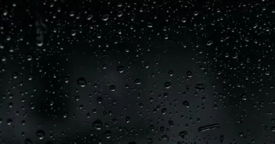 Journal Météo climat en replay