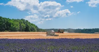 Quel temps est-il prévu à Fréjus et ses environs le samedi 19 juillet 2025 ? – Ouest-France