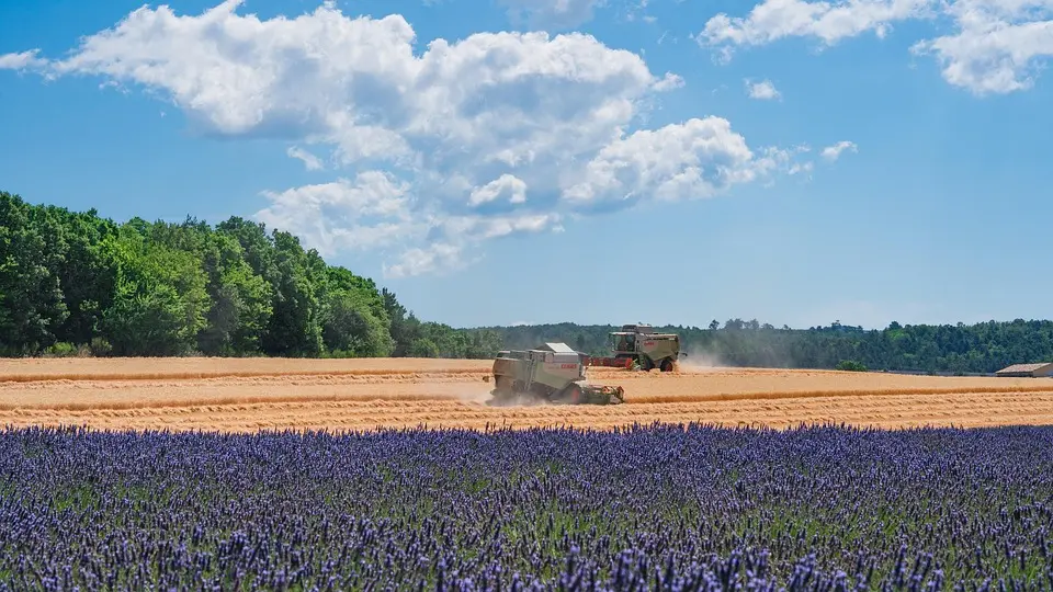 Quel temps est-il prévu à Fréjus et ses environs le samedi 19 juillet 2025 ? – Ouest-France