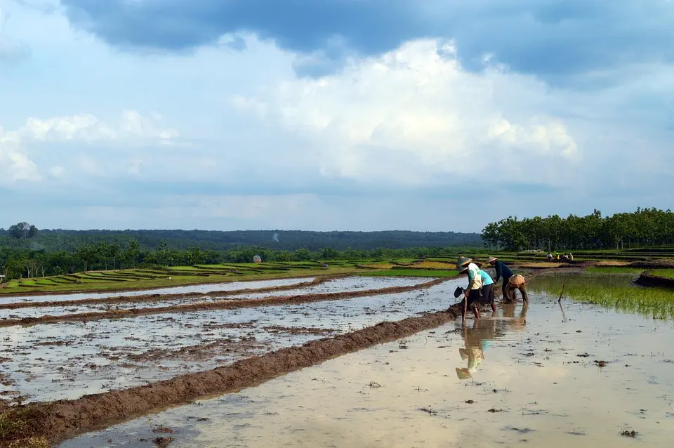 Tran Duc Thang nommé ministre par intérim de l’Agriculture et de l’Environnement