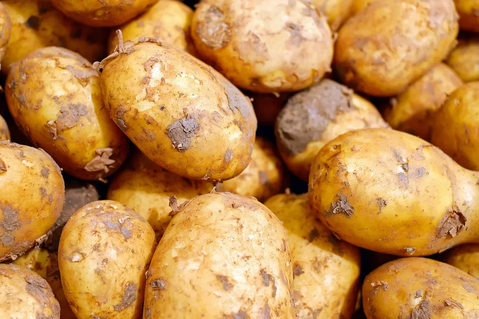 Marché agricole de Châteaubriant : les cours de la semaine 29