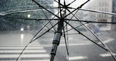 Journal Météo climat en replay
