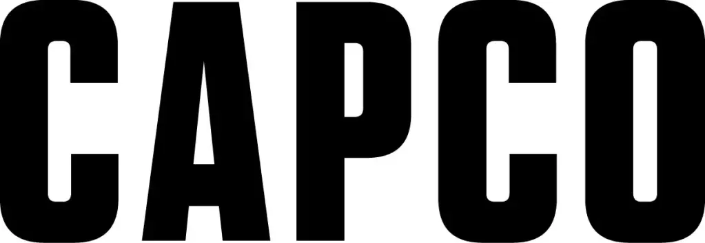 (Senior) Consultant