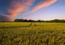 21 domaines d’expertise médico-légale en agriculture et en environnement – Vietnam.vn
