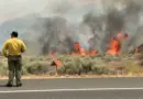 213km2 en 24 heures: les images du pire incendie de l’année en Californie