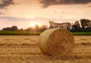 À Avignon, le théâtre se lève pour l’agriculture durable
