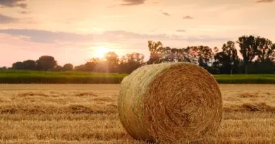 À Avignon, le théâtre se lève pour l’agriculture durable