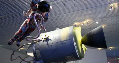 À Madagascar, l’artiste Yinka Shonibare célèbre le métissage