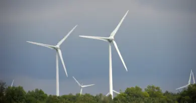 À cinq mois de la COP 30, l’enjeu des financements à nouveau au cœur des négociations de Bonn sur le climat