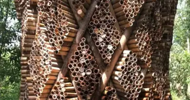AREP, une climatisation adiabatique en bambou qui fonctionne sans gaz ni électricité