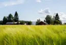 Agriculture biologique dans la Nièvre : des difficultés grandissantes