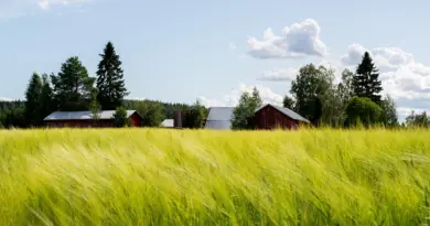 Agriculture biologique dans la Nièvre : des difficultés grandissantes