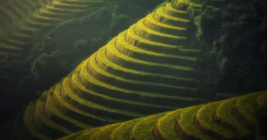 Agriculture durable : une semaine d’animations pour tous en octobre