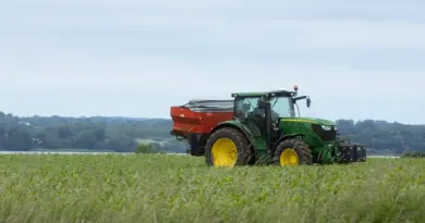 Agriculture : qu’est-ce que la dermatose nodulaire, nouveau fléau des élevages bovins en France ?