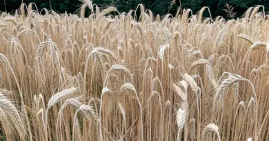 Aidagri en ordre de marche face à la crise agricole – horizons-journal.fr