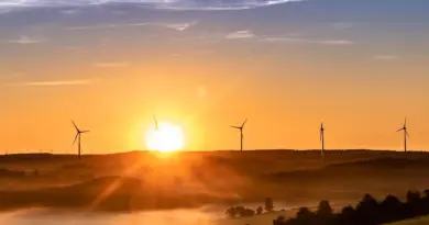 Allemagne : réforme des frais de réseau menace l’essor du stockage énergétique
