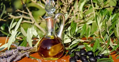 Apportez l’été dans votre cuisine : inspirez-vous avec des tons terre et du vert profond