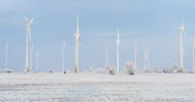Après le climat, la BCE veut inclure la nature dans sa politique monétaire et c’est une première